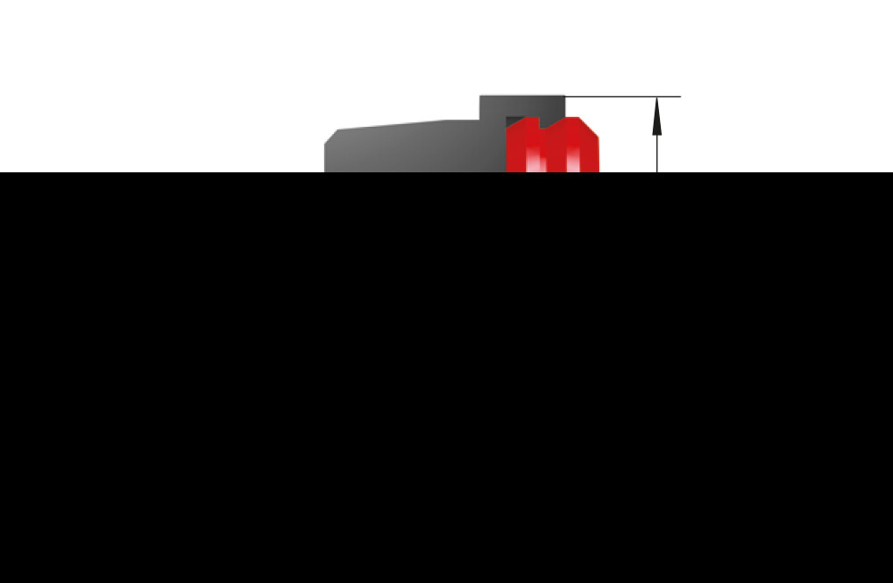 PP45