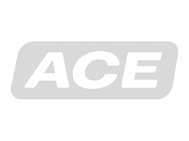www.ace-ace.de